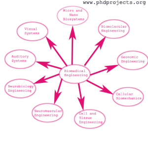 Phd-Research-Topics-In-Biomedical-Engineering