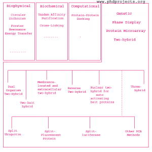 Phd-Research-Topics-In-Ppi