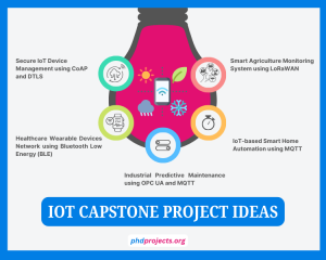 IOT Capstone Project Assistance
